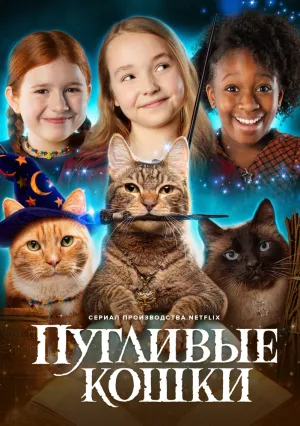 Пугливые кошки (сериал 2021)